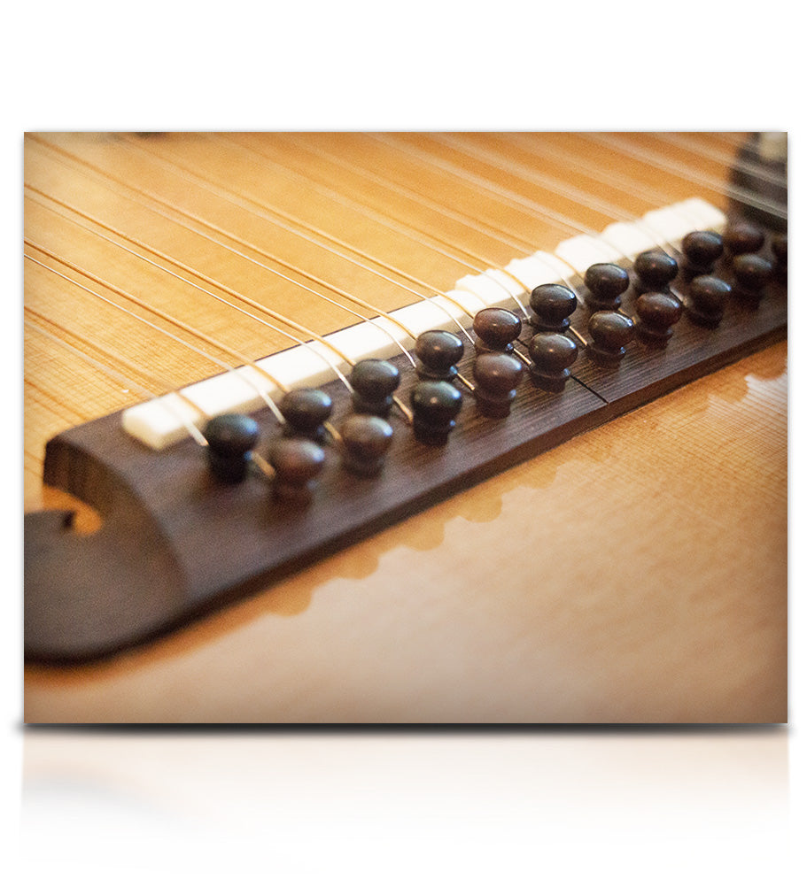 Brad Hoyt's Harp Guitar - Strings - virtual instrument sample library for Kontakt by Soundiron