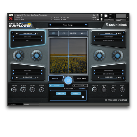 Total flexibility and creative control