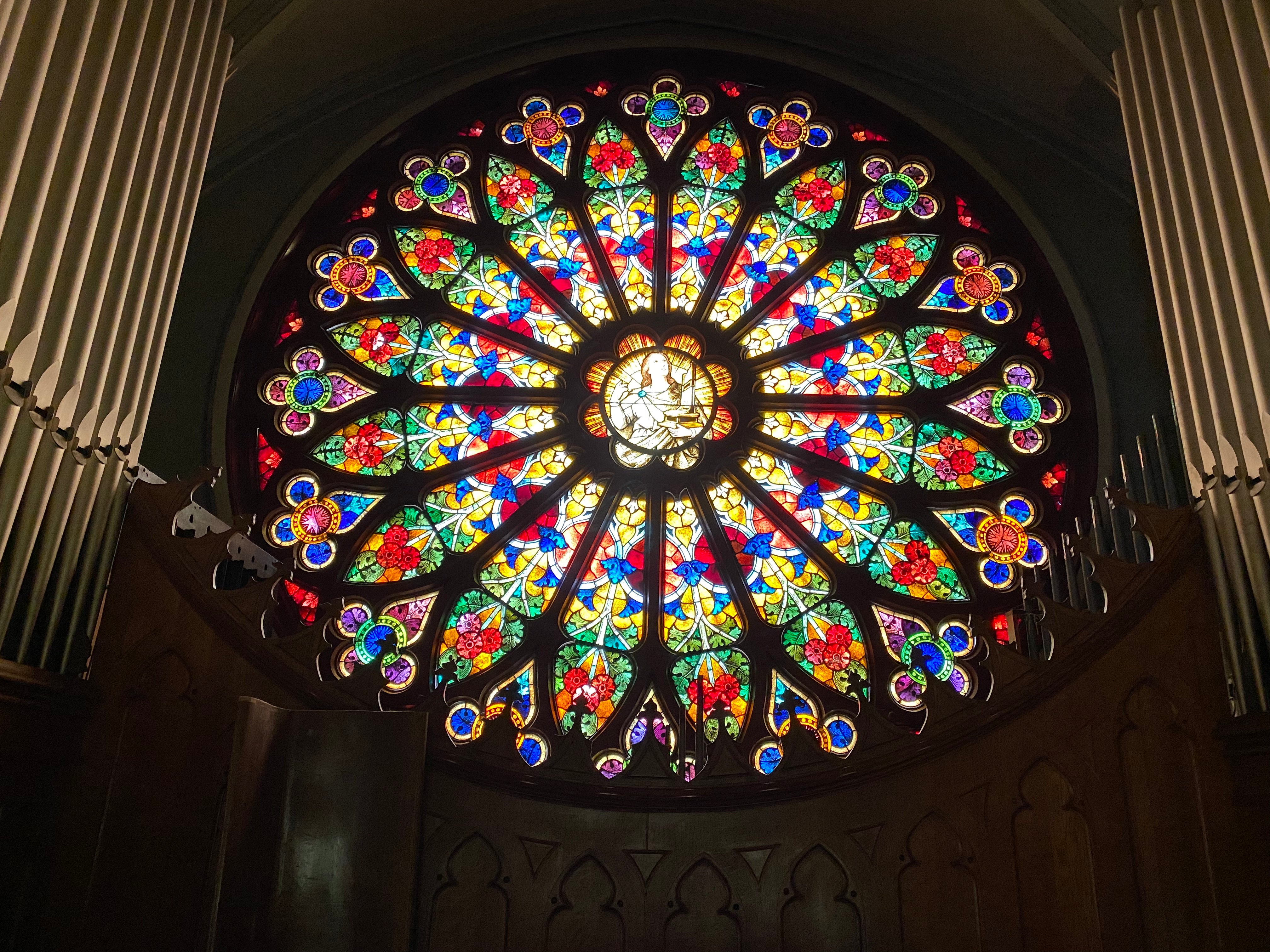 Alpha Organ