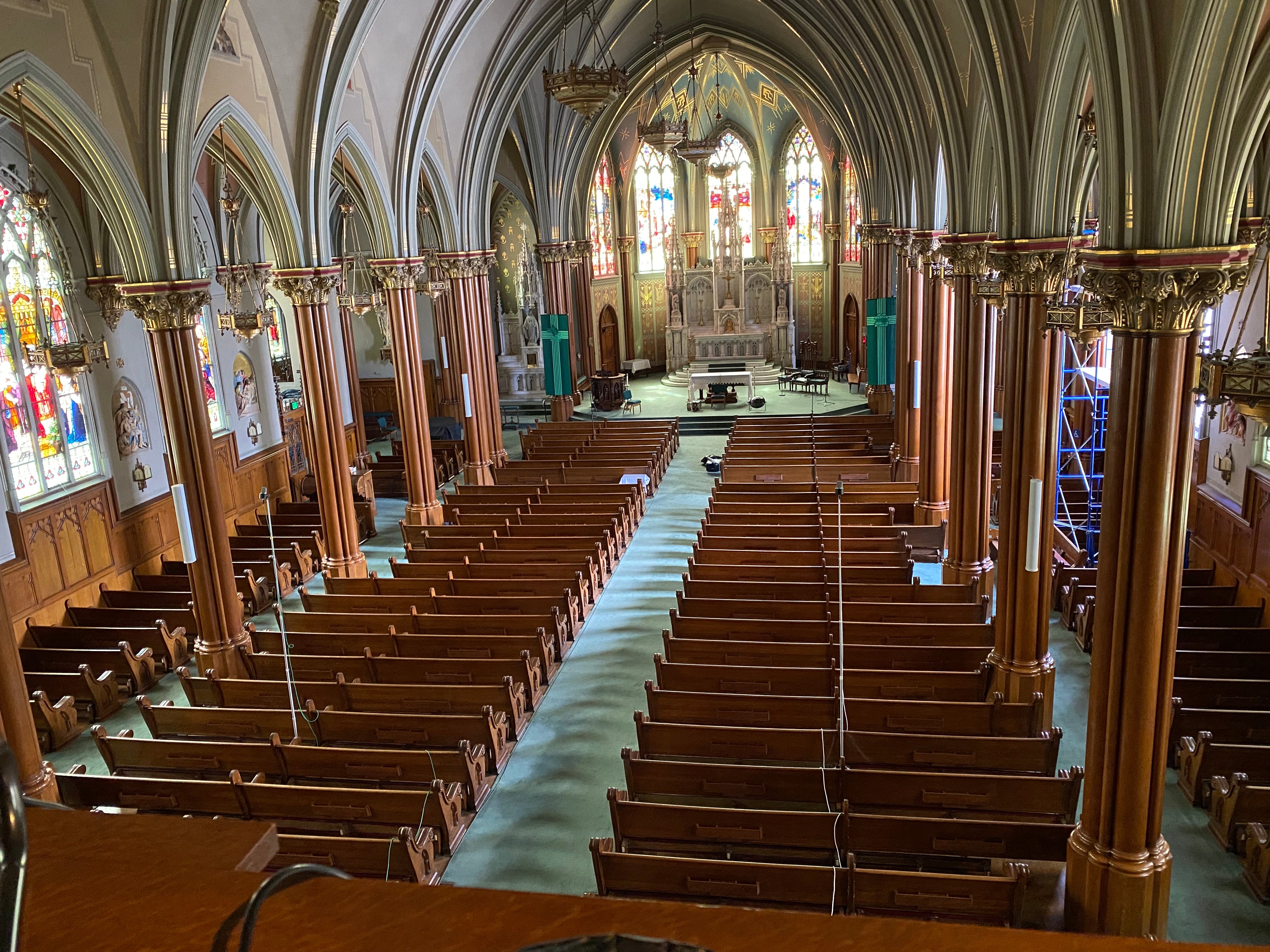 Alpha Organ