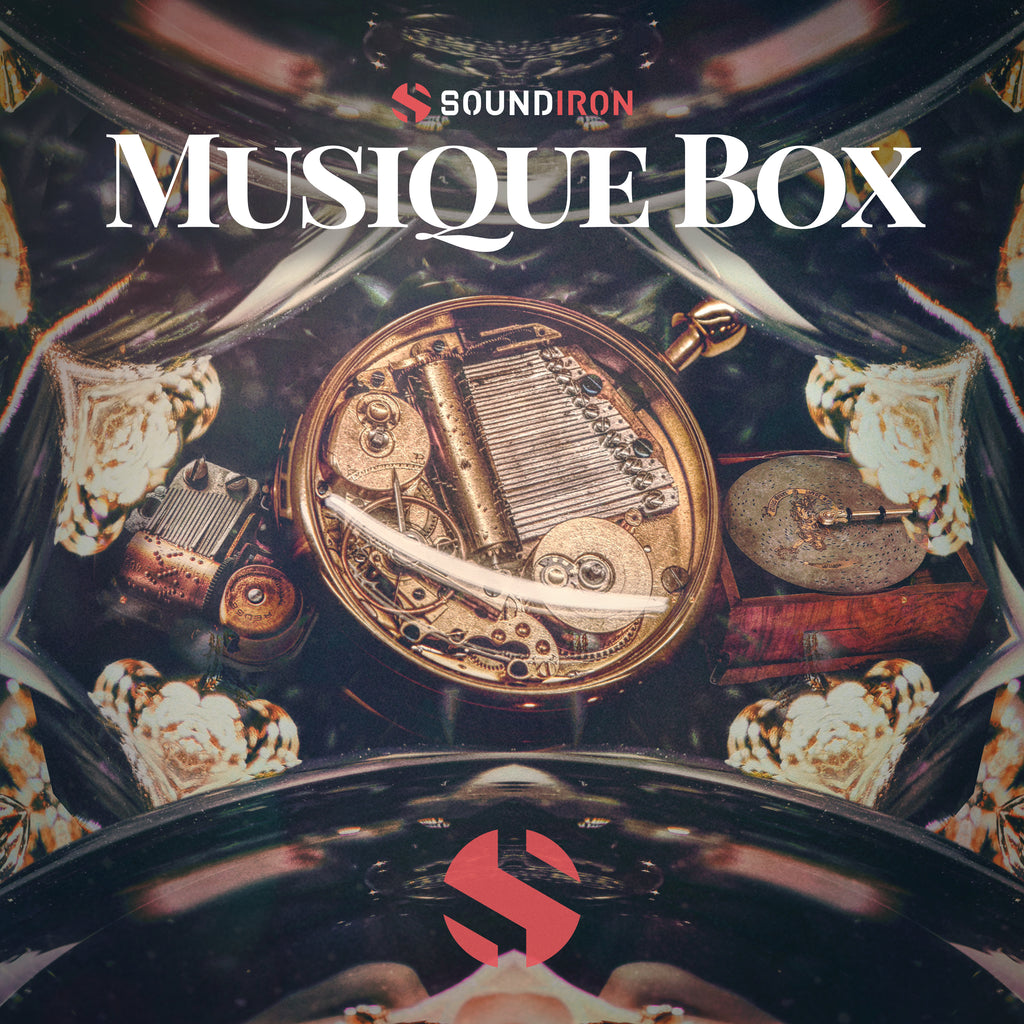 Music Box. Unpacking. Mechanical musical instrument. r3 Sound from