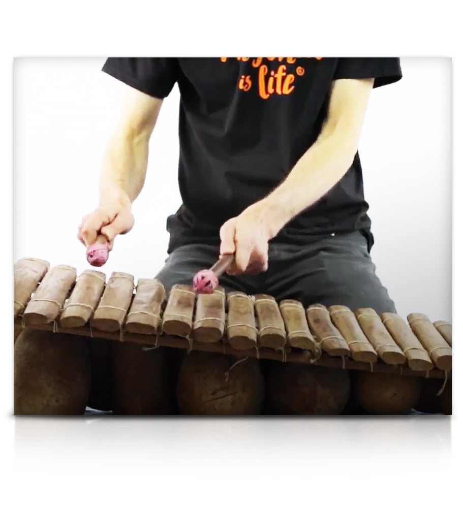 David Oliver's Rhythmic Odyssey - Percussion - virtual instrument sample library for Kontakt by Soundiron