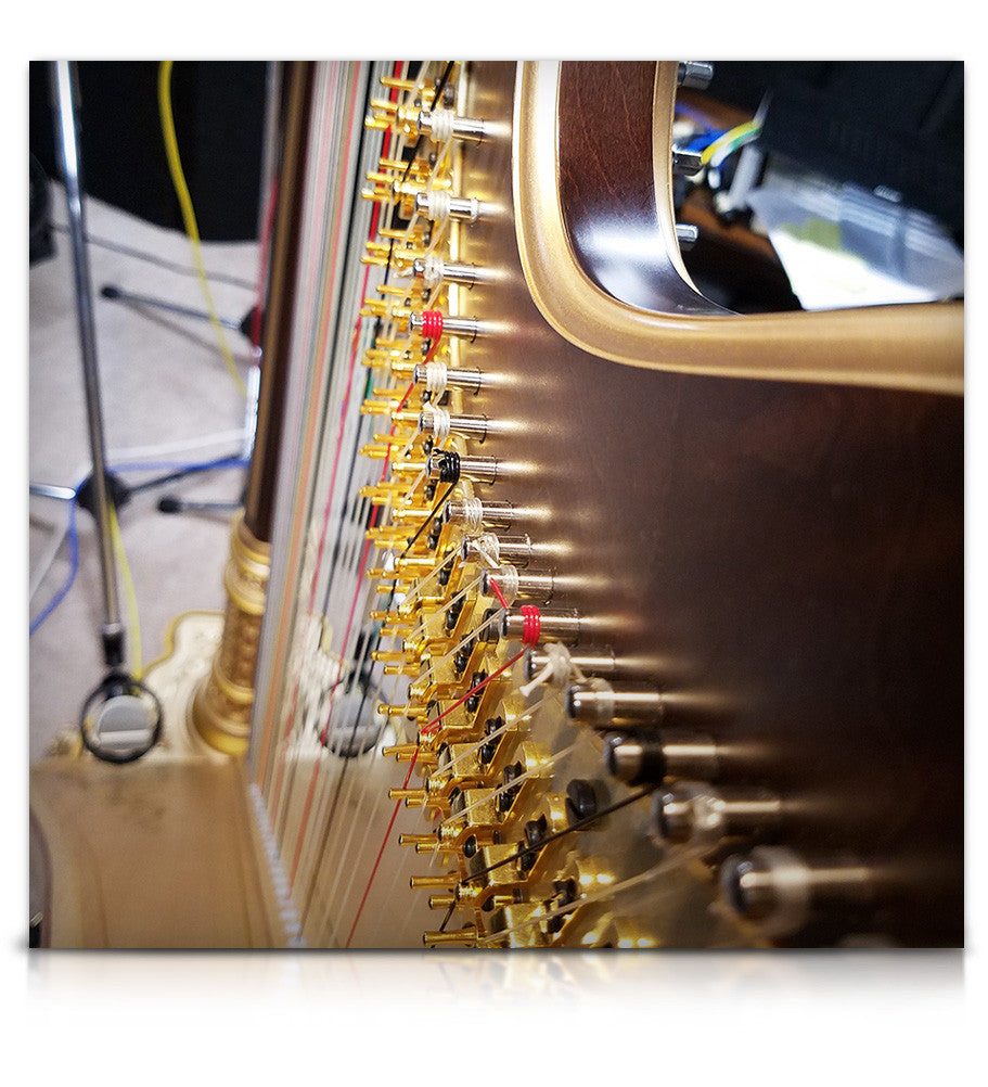harp tone plus pedal Elysium Harp