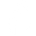 Stringed Instruments